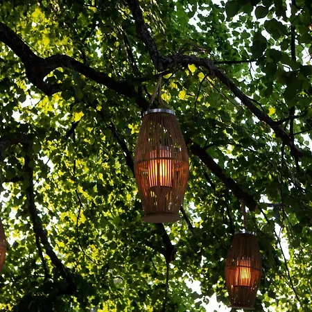 Tilia Θέρετρο Mourésion