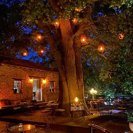 Tilia Resort